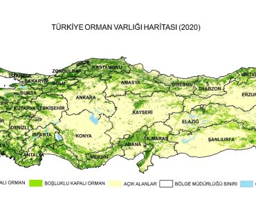 turkiye-orman-varligi-haritasi-2020
