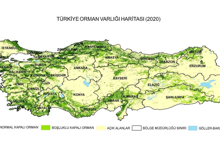 turkiye-orman-varligi-haritasi-2020