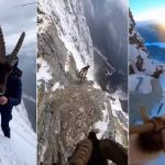 dag-kecisi-yapay-zeka