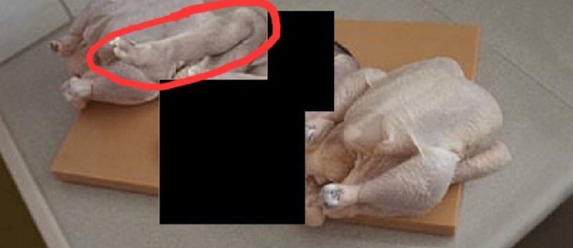 bebek-seklinde-tavuk