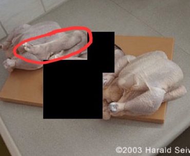 bebek-seklinde-tavuk