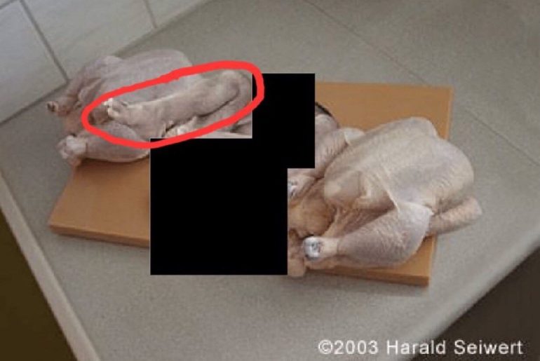 bebek-seklinde-tavuk