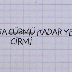 ates-olsa-cirmi-kadar-yer-yakar