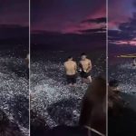 Depremle İlişkilendirilen Filipinler'de Binlerce Balığın Karaya Vurduğu "Ani Deniz Soğuması" Sonucu Oluşan Görüntü kiyiya-vuran-baliklar
