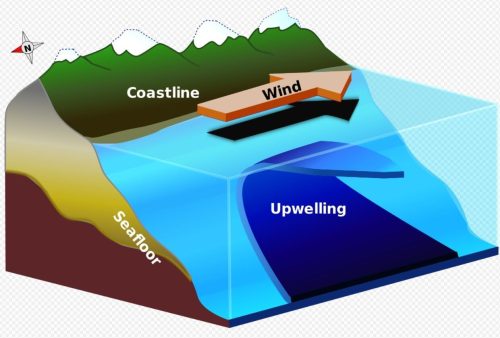 upwelling