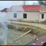 Suya Devrilen Elektrik Direğinin Etkisiyle Balıkların Öldüğü Ana Ait Olduğu İddiasıyla Paylaşılan Videolar elektrik-diregi-su-balik