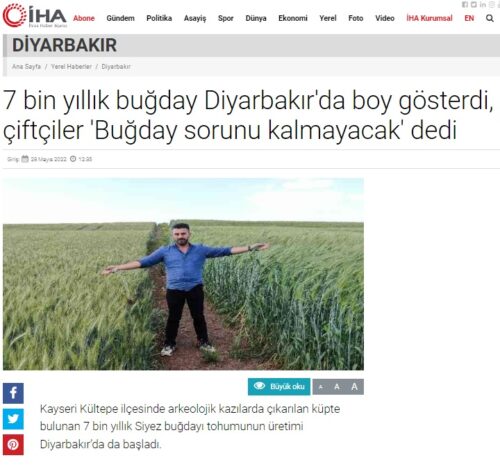 7-bin-yillik-bugday-diyarbakirda