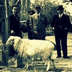 Kurban Bayramında Atatürk