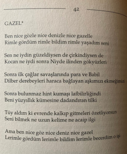 cemal süreya gazel