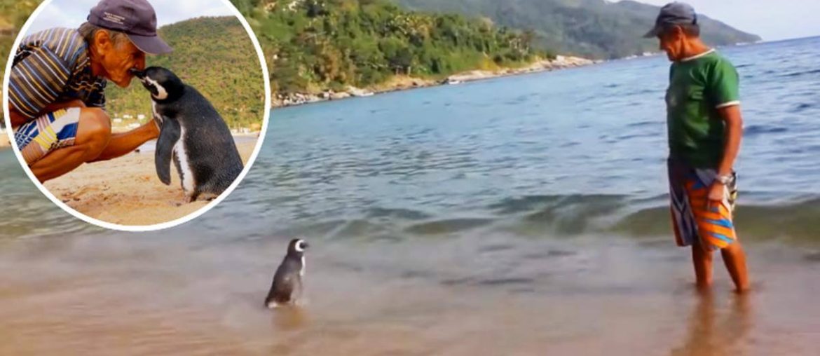 Joao-Pereira-de-Souza-dindim