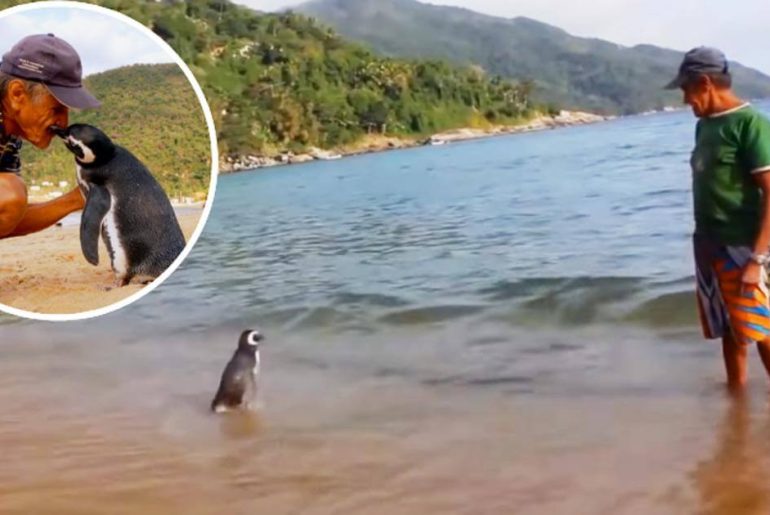 Joao-Pereira-de-Souza-dindim