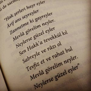 "Mevlâ Görelim Neyler, Neylerse Güzel Eyler" Sözü