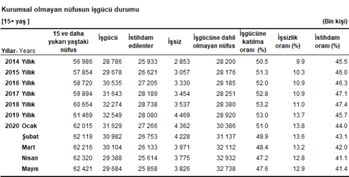 TÜİK'in Hanehalkı İşgücü Anketi SOnuçları