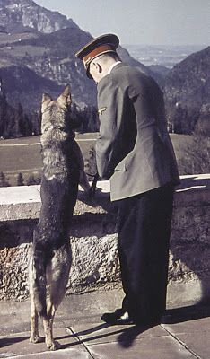 adolf hitler köpek fotoğraf