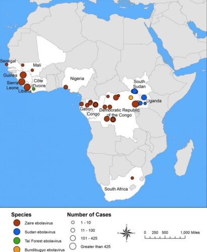 afrikada ebolanın görüldüğü yerler