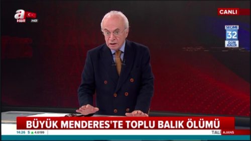 A Haber’in "Büyük Menderes'te toplu balık ölümü" alt bantlı ekran görseli