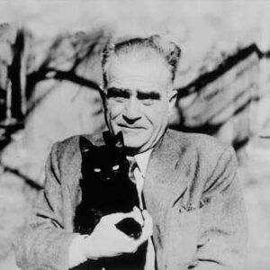 ahmet hamdi tanpınar kedi