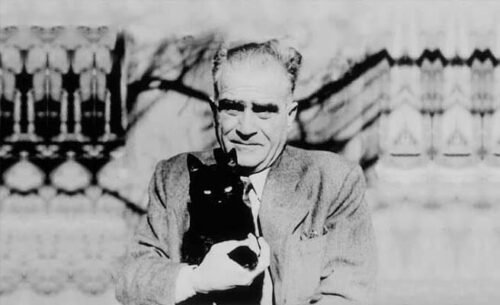 ahmet hamdi tanpınar kedi