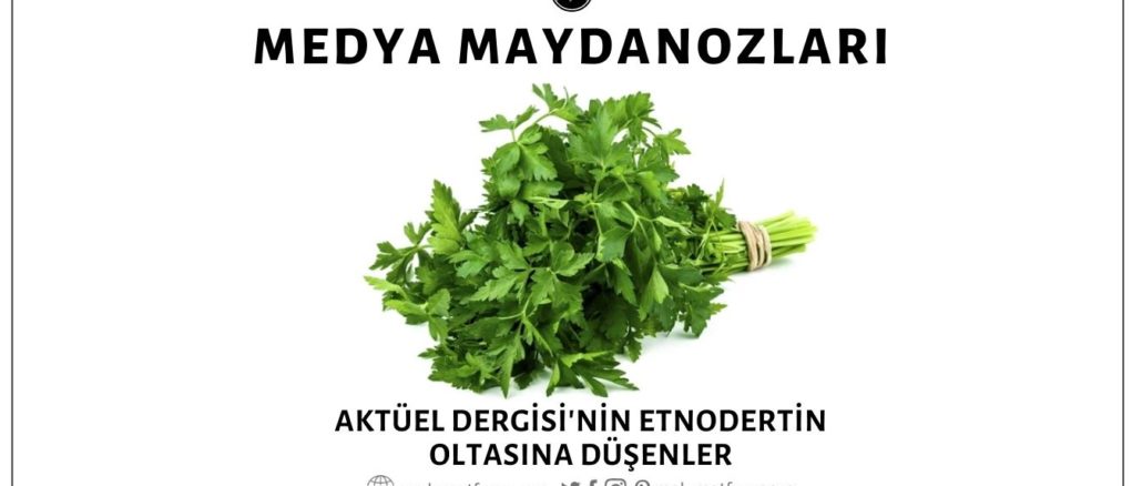 Aktüel Dergisi'nin "Etnodertin" Trollemesine Kanan "Medya Maydanozları"