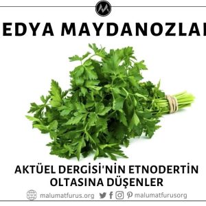 Aktüel Dergisi'nin "Etnodertin" Trollemesine Kanan "Medya Maydanozları"