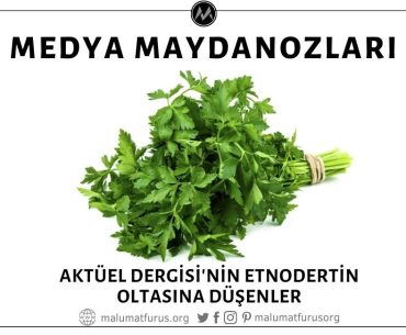 Aktüel Dergisi'nin "Etnodertin" Trollemesine Kanan "Medya Maydanozları"