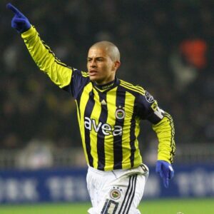 alex de souza fenerbahçe