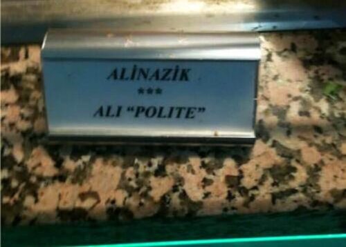 ali nazik ali polite