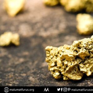 altın madeni