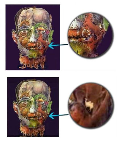 hayvanlı alzheimer testi