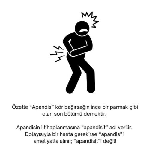 apandisit apandis farkı