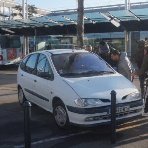 araba içinde ağaç