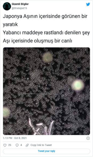 asi icinde olusmus canli