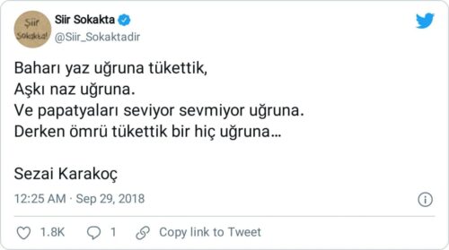 aşkı naz uğruna