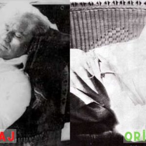 ataturk kedi montaj foto