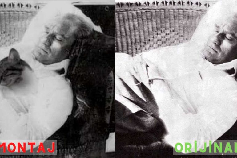 ataturk kedi montaj foto