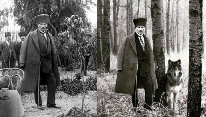 atatürk kurt fotoğrafı