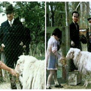 atatürk kurban bayramı