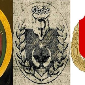 ataturkun-emriyle-tasarlanan-turk-devlet-armasi