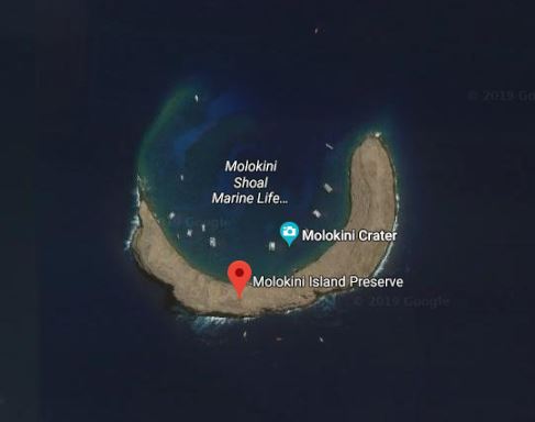 Ay ve yıldız şeklinde olduğu sanılan Hawaii'deki Molokini adasının uydu görüntüsü
