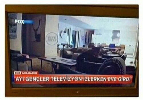 ayı gençler televizyon izlerken eve daldı