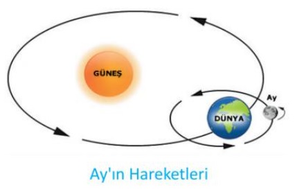 ayın hareketleri