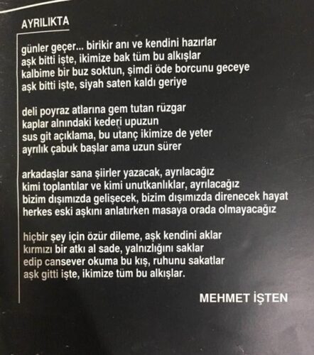 ayrılıkta mehmet işten