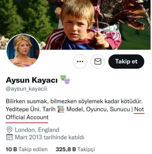 aysun-kayaciya-ait-sanilan-twitter