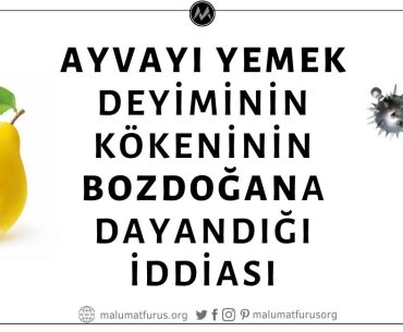 "Ayvayı Yemek" Deyiminde Kastedilen "Ayva"nın Bozdoğan Adlı Silah Anlamına Geldiği İddiası Asılsız