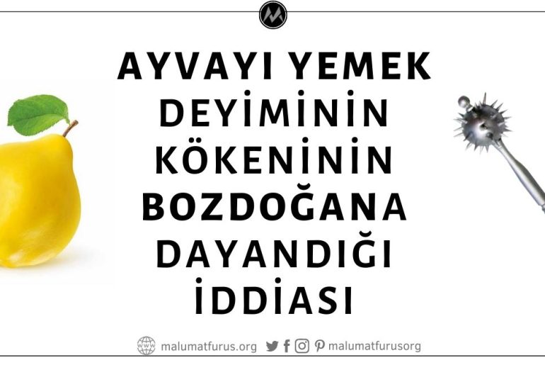 "Ayvayı Yemek" Deyiminde Kastedilen "Ayva"nın Bozdoğan Adlı Silah Anlamına Geldiği İddiası Asılsız