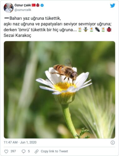 bahari yaz uğruna