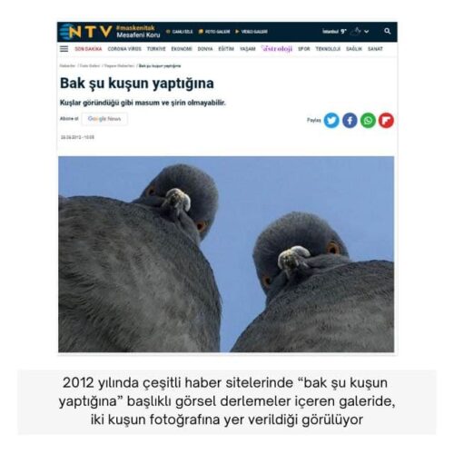 bakın şu kuşun yaptığına