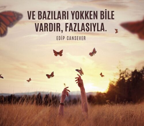 ve bazıları yokken bile vardır fazlasıyla edip cansever