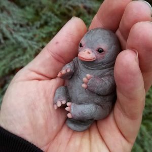 Bebek Ornitorenke Ait Sanılan Fotoğraf