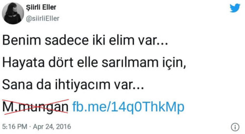 benim sadece iki elim var